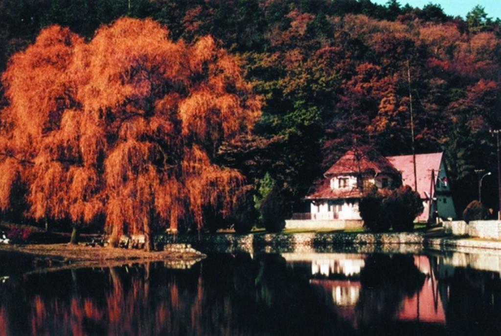 Hotel Sikfokut Noszvaj Exterior foto